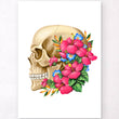 Load image into Gallery viewer, Skull anatomy poster