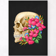 Load image into Gallery viewer, Anatomy of skull poster