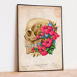 Load image into Gallery viewer, Skull lateral view anatomy poster