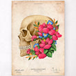 Load image into Gallery viewer, Side view of skull anatomy poster