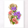 Load image into Gallery viewer, Hip joint anatomy poster