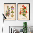 Load image into Gallery viewer, Spine chart - Floral - Vintage