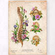 Load image into Gallery viewer, Spine anatomy poster