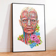 Load image into Gallery viewer, Facial muscles anatomy