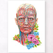 Load image into Gallery viewer, Face anatomy poster