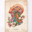 Load image into Gallery viewer, Vintage neck anatomy poster
