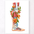 Laden Sie das Bild in den Galerie-Viewer, Leg muscles anatomy