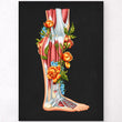 Laden Sie das Bild in den Galerie-Viewer, Leg anatomy poster