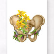 Load image into Gallery viewer, Male pelvis anatomy poster