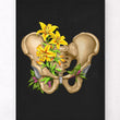 Load image into Gallery viewer, Pelvic anatomy print
