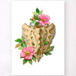 Load image into Gallery viewer, Sacrum anatomy