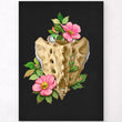 Load image into Gallery viewer, Sacrum anatomy poster