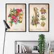 Load image into Gallery viewer, Shoulder anatomy art