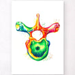 Load image into Gallery viewer, Thoracic vertebra anatomy watercolor art