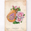 Load image into Gallery viewer, Anatomical breast poster