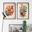 Laden Sie das Bild in den Galerie-Viewer, Floral heart anatomy poster