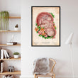 Laden Sie das Bild in den Galerie-Viewer, Fetus in a womb anatomy poster