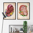 Laden Sie das Bild in den Galerie-Viewer, OBGYN poster