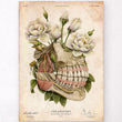 Laden Sie das Bild in den Galerie-Viewer, Teeth anatomy art
