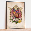 Laden Sie das Bild in den Galerie-Viewer, Heart anatomy poster by codex anatomicus