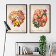 Charger l'image dans la galerie, Neurology brain anatomy art