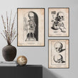Laden Sie das Bild in den Galerie-Viewer, Skeleton anatomy poster