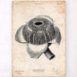 Laden Sie das Bild in den Galerie-Viewer, Eye anatomy poster