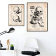Laden Sie das Bild in den Galerie-Viewer, Skull poster