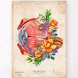 Charger l'image dans la galerie, Vintage eye anatomy poster