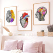 Charger l'image dans la galerie, Floral anatomy poster