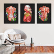 Load image into Gallery viewer, Muscles anatomy art
