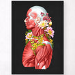 Load image into Gallery viewer, Torso muscles anatomy