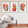 Laden Sie das Bild in den Galerie-Viewer, Muscles anatomy art