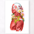 Laden Sie das Bild in den Galerie-Viewer, Muscles anatomy art print