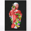 Load image into Gallery viewer, Back muscles anatomy
