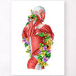 Laden Sie das Bild in den Galerie-Viewer, Back muscles anatomy art