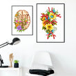 Charger l'image dans la galerie, Circle of Willis anatomy poster