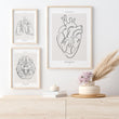 Laden Sie das Bild in den Galerie-Viewer, Heart anatomy art print by codex anatomicus