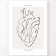 Laden Sie das Bild in den Galerie-Viewer, Heart anatomy line art poster by codex anatomicus