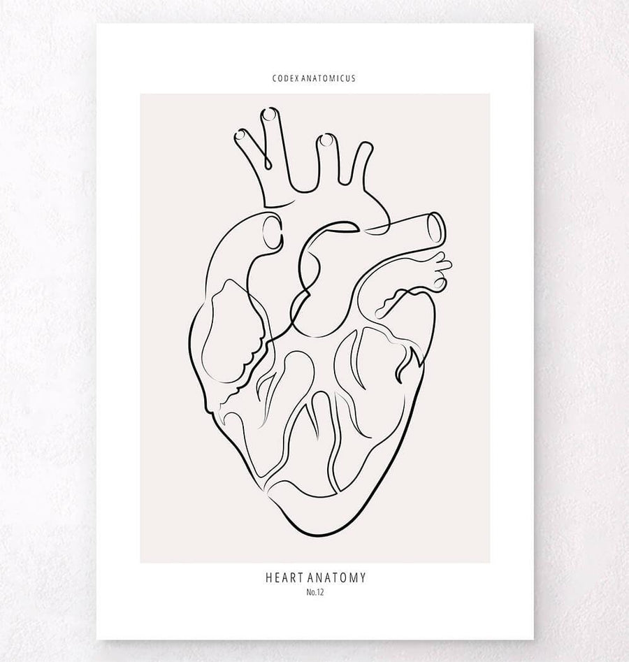 Heart anatomy line art poster by codex anatomicus