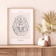 Charger l'image dans la galerie, Anatomical brain poster