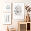 Charger l'image dans la galerie, Brain anatomy art