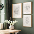 Laden Sie das Bild in den Galerie-Viewer, Breast anatomy poster