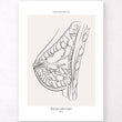 Laden Sie das Bild in den Galerie-Viewer, Breast anatomy art