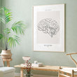 Laden Sie das Bild in den Galerie-Viewer, Brain anatomy poster