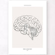 Laden Sie das Bild in den Galerie-Viewer, Sagittal brain view poster