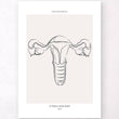 Charger l'image dans la galerie, uterus anatomy art