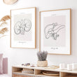 Charger l'image dans la galerie, Liver art