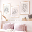 Load image into Gallery viewer, Kidneys anatomy art
