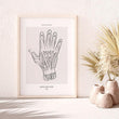 Laden Sie das Bild in den Galerie-Viewer, Hand anatomy art